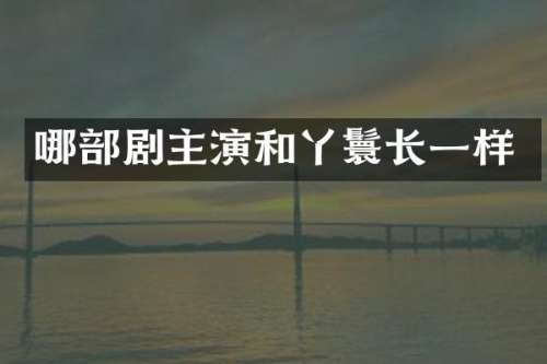 哪部剧主演和丫鬟长一样