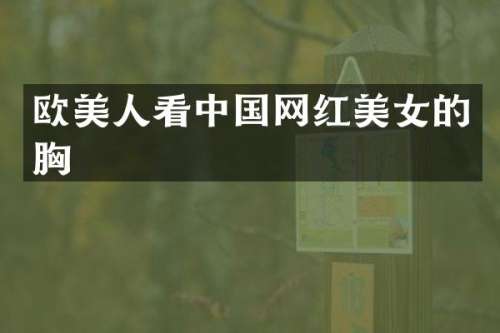 欧美人看中国网红的