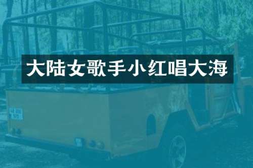 大陆女歌手小红唱大海