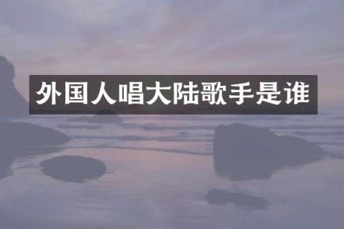 外国人唱大陆歌手是谁