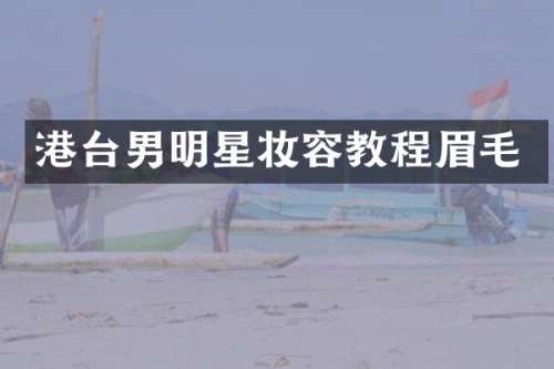 港台男明星妆容教程眉毛
