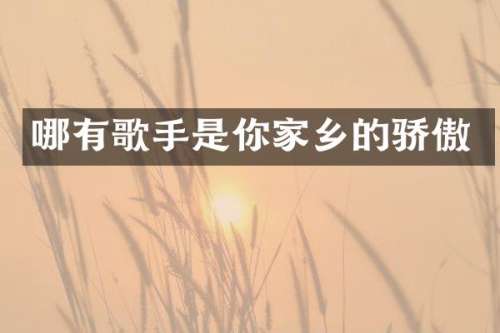 哪有歌手是你家乡的骄傲