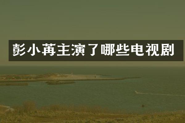 彭小苒主演了哪些电视剧