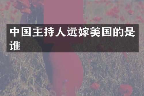 中国主持人远嫁美国的是谁