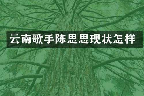 云南歌手陈思思现状怎样