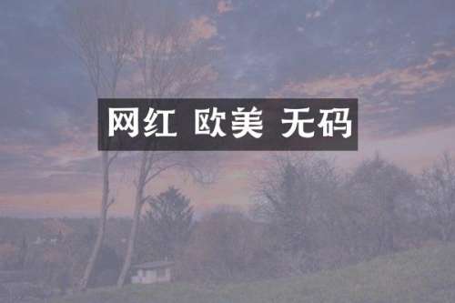 网红 欧美 