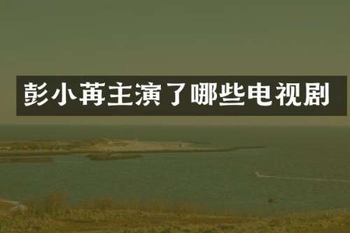 彭小苒主演了哪些电视剧