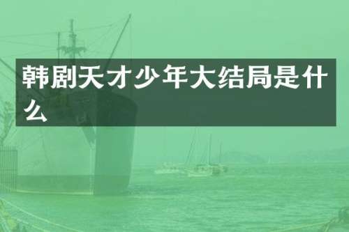 韩剧天才少年大结局是什么