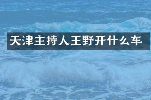 天津主持人王野开什么车