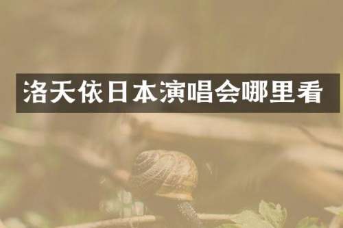 洛天依日本演唱会哪里看