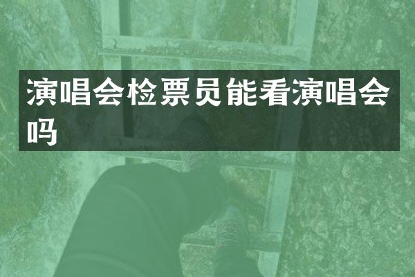 演唱会检票员能看演唱会吗