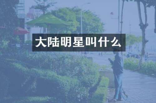 大陆明星叫什么