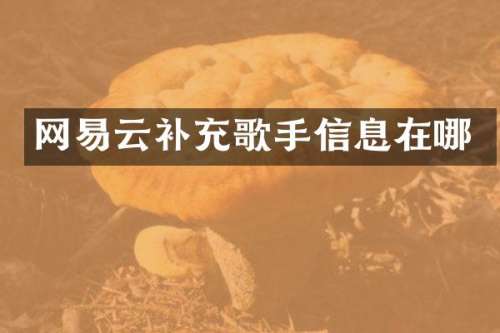 网易云补充歌手信息在哪