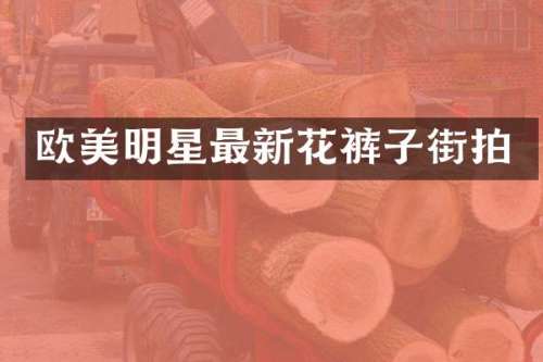 欧美明星最新花裤子街拍