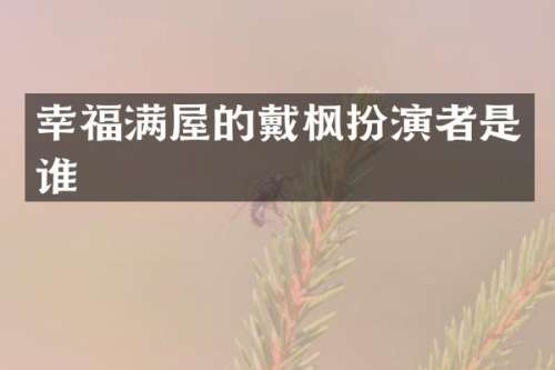 幸福满屋的戴枫扮演者是谁