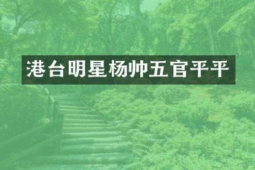 港台明星杨帅五官平平