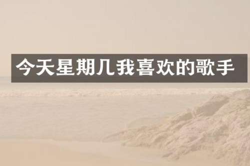 今天星期几我喜欢的歌手