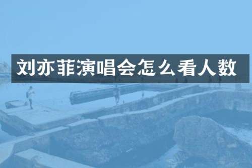 刘亦菲演唱会怎么看人数