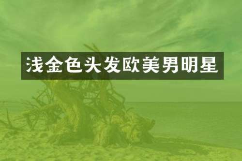 浅金色头发欧美男明星