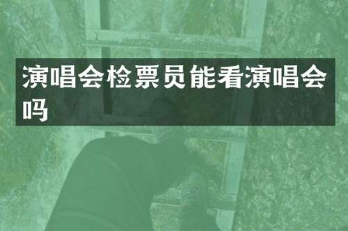 演唱会检票员能看演唱会吗