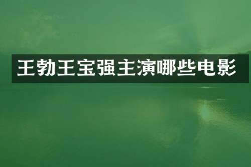 王勃王宝强主演哪些电影