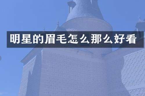 明星的眉毛怎么那么好看