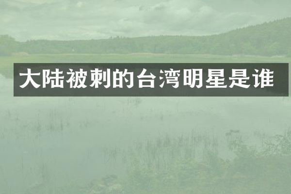 大陆被刺的台湾明星是谁