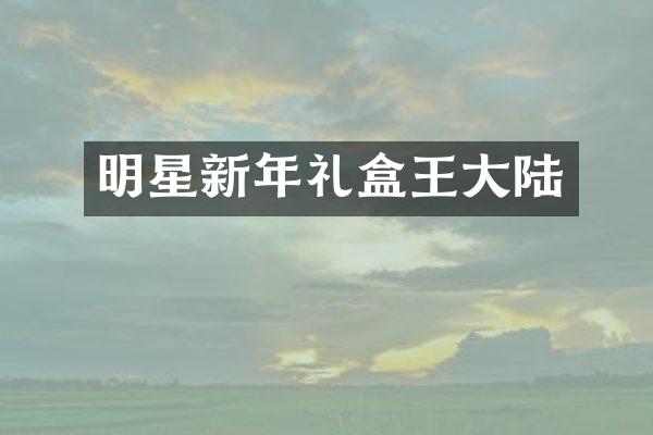 明星新年礼盒王大陆