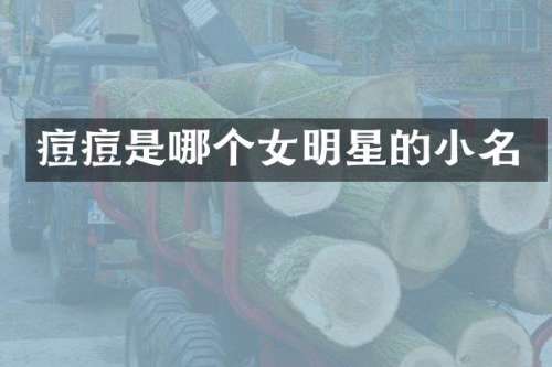 痘痘是哪个女明星的小名