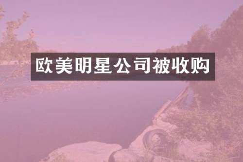 欧美明星公司被收购