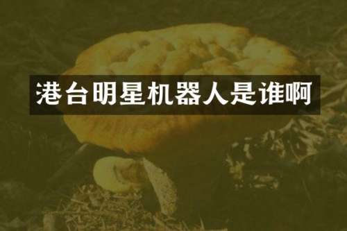 港台明星机器人是谁啊