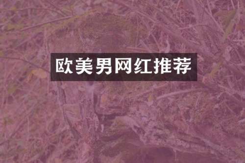 欧美男网红推荐