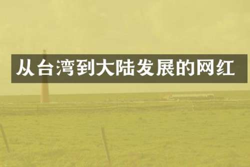 从台湾到大陆发展的网红