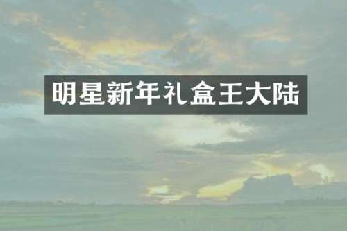 明星新年礼盒王大陆