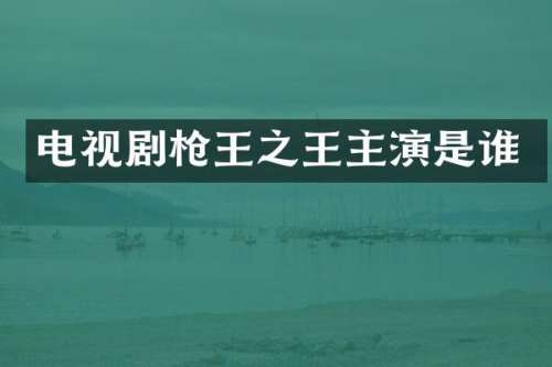 电视剧王之王主演是谁