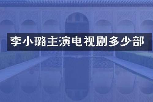 李小璐主演电视剧多少部