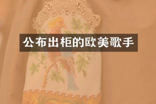 公布出柜的欧美歌手