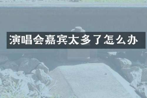 演唱会嘉宾太多了怎么办