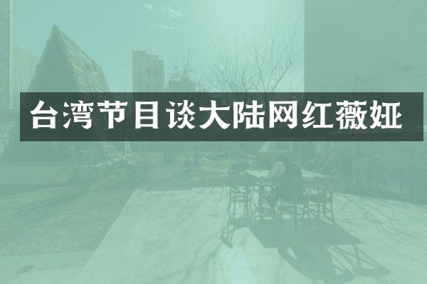 台湾节目谈大陆网红薇娅