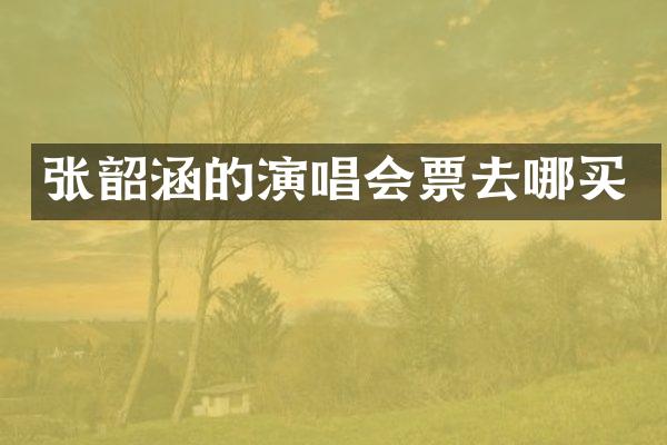 张韶涵的演唱会票去哪买