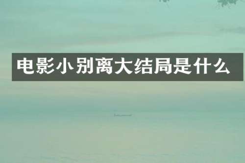 电影小别离大结局是什么