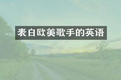 表白欧美歌手的英语