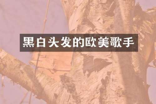 黑白头发的欧美歌手