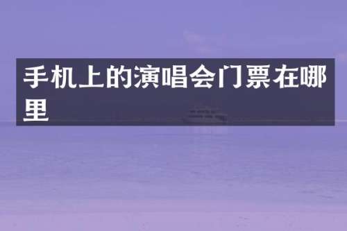 手机上的演唱会门票在哪里