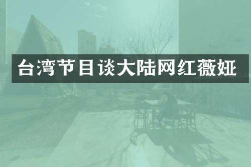 台湾节目谈大陆网红薇娅