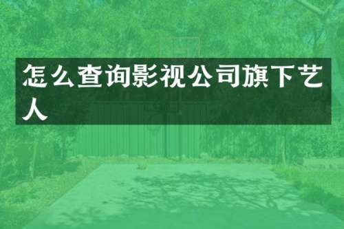 怎么查询影视公司旗下艺人