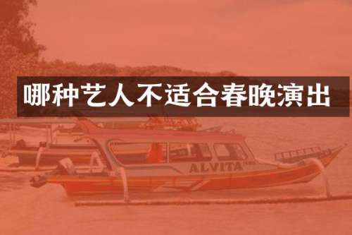 哪种艺人不适合演出