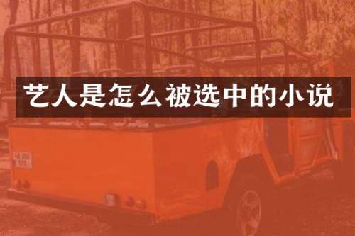 艺人是怎么被选中的小说