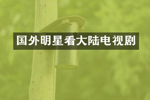 国外明星看大陆电视剧