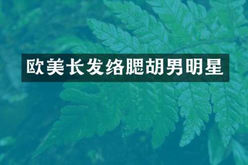 欧美长发络腮胡男明星
